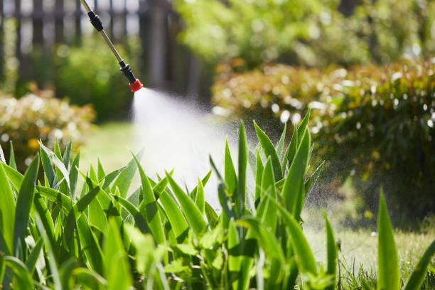 24/7 Emergency Mosquito Control experts in South Plainfield, NJ