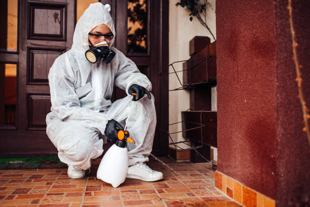 Reliable Mosquito Control contractor in South Plainfield, NJ by Show Me Pest Control