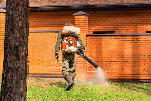 Top rated local Mosquito Control specialists in South Plainfield, NJ